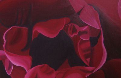 Camellia sasanqua 'Bonanza', 2008peinture