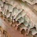 Erosion sur roche grés des Vosges rose ... 