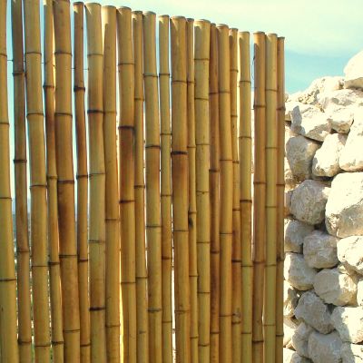 2ème partie : Nous proposons la plus large gamme de clôtures en bambou en Europe.