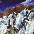 Ussel 2007 Himalaya 129 x 100 (Avalanche)