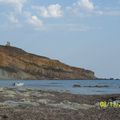 La plage réserve de drôles de surprises..celle-ci fut de taille ! 