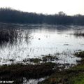 Reflets de Loire