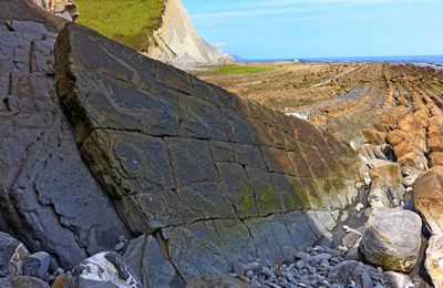 Flysch