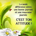 La seule différence 💚...