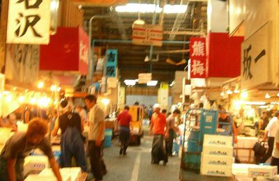 築地 - Tsukiji, the biggest fish market of the world!