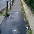 Paris, la grande déchèterie