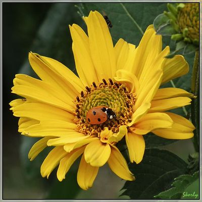 Photos du 7 juillet 2011