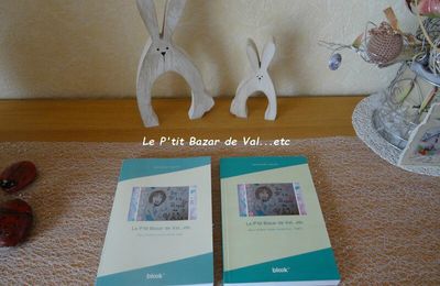 BLOOKUP, LE LIVRE DE VOTRE BLOG - TOME 2