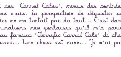 Recette - Carrot cupcake"