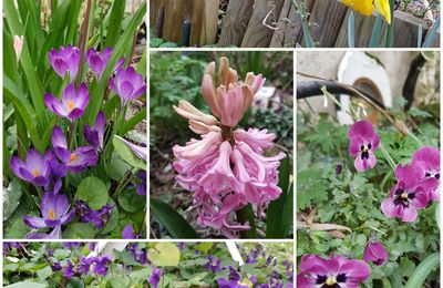 Démolition et quelques fleurs