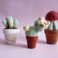 Trio de cactus au crochet -tuto inside-