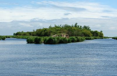 MARAIS DE LA BRIERE