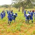  Agriculture: 100 jeunes formés 