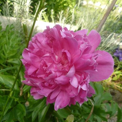 L'été est arrivé!!