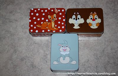 Petites boîtes en métal Disney