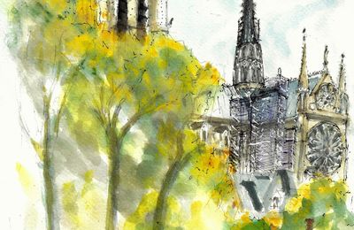 Enfin ! Notre Dame de Paris et sa Flèche 