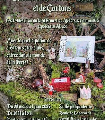 EXPOSITION "HISTOIRES DE FILS  A AMMERSCHWIHR"