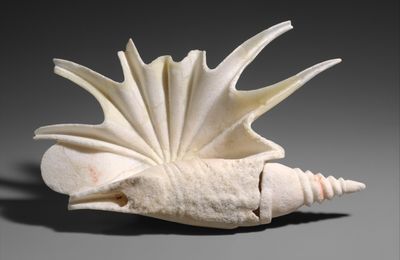 Marble shell, Greek, Classical Period, ca. 400 BCE