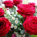 Quand la rose rouge enivre .......... Rose rouge symbole de l'Amour