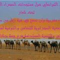 ......الملتقى التواصلي حول مستجدات الصحراء المغربية
