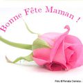 Bonne Fête Maman