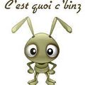 Quel chantier !