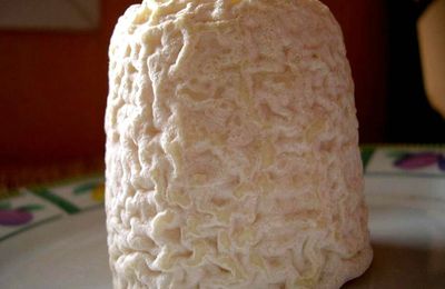 Le Chabichou du Poitou