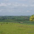 Paysages Congolais