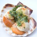 Coquilles Saint-Jacques toutes simples