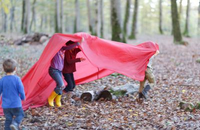 Les apprentissages Autonomes au CPN Salamandre et Serpolet Stage Nature #1 suite et fin