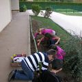 Plantation de fleurs : novembre 2009