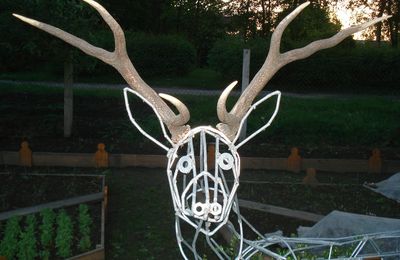 Le Brâme du cerf.....
