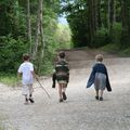 Promenade au bord d'un lac