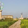 Le printemps est là : cap sur les Baléares!...