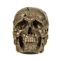 The Evolution Pyrite Skull 