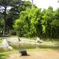 JARDIN BOTANIQUE ALBERT KAHN 4/ 