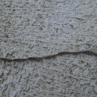 C'EST DIMANCHE alors vous avez...