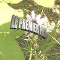 Le Premier Pas