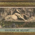 Une carte postale système de la série avec un cartel bleu : le Lion qui se déplie ! 