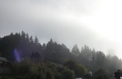 Les défis du samedi