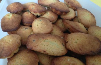 Mes madeleines aux pépites de chocolat ou au citron