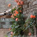 Dans la maison des senteurs
