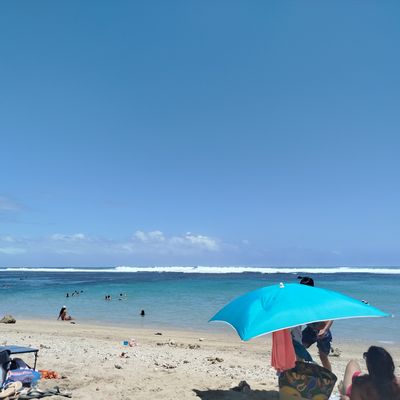 Journal de gratitude 