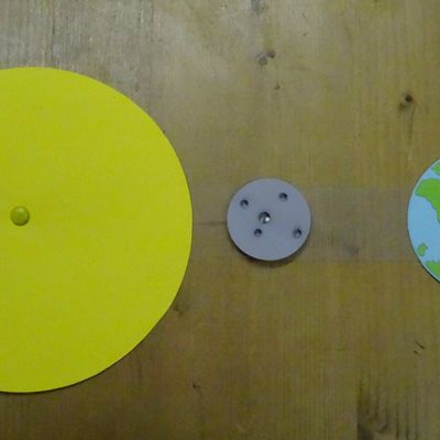 Box de Mimi la fourmi