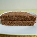 gâteau cru soja caroube au psyllium (diététique, végan, hyperprotéiné, sans oeuf ni beurre ni sucre ni gluten, riche en fibres)
