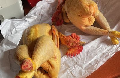 Des volailles de compet' !