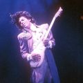 Prince, un océan de violettes en fleurs