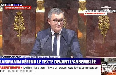 Commission mixte paritaire et adoption de la loi Immigration