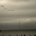 Bridge Over Cold Water