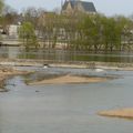 Coligny et ses arbres verdissants